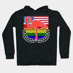 American LGBT Flamingo Hoodie